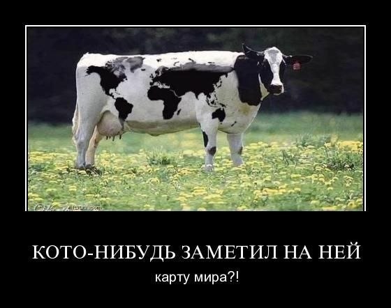 Картинки и приколы из сети