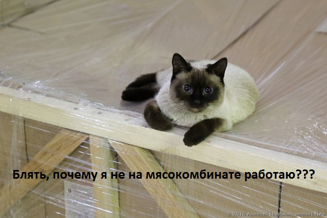 Как делают светодиодные лампы Лисма