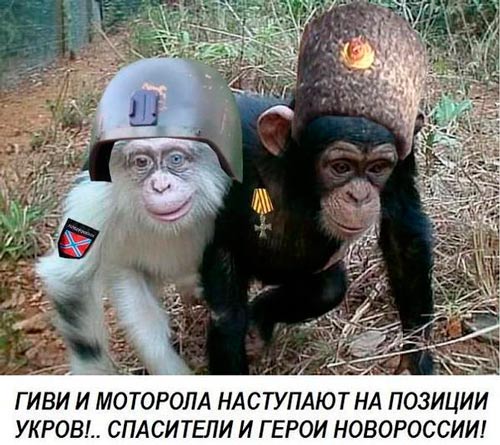 В Петербурге неизвестный облил краской граффити с Моторолой