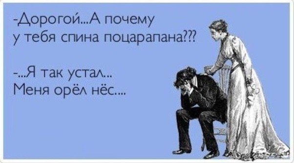 Смешные комментарии из социальных сетей 25.11.2016