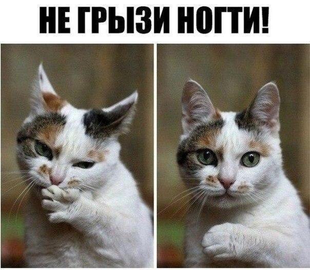 Черненький и абсурдненький юморочек
