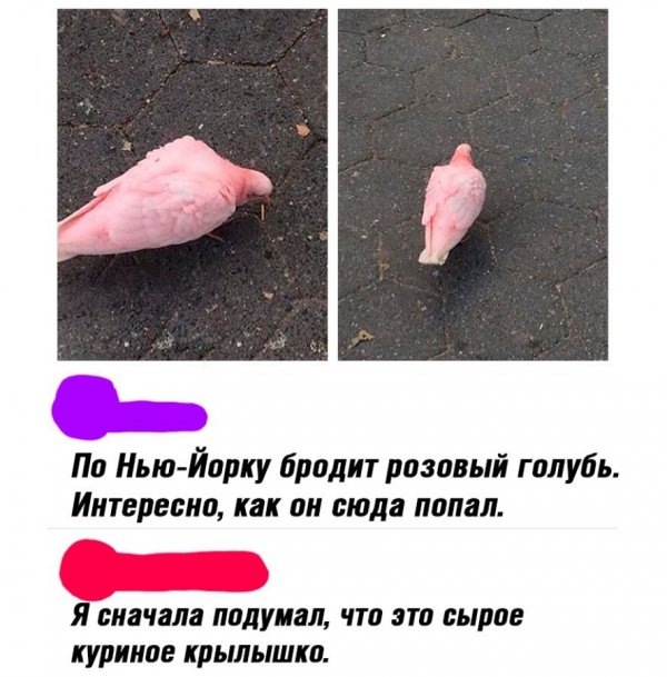Приколы в стиле "регресс"