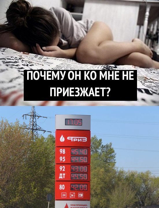 Картинки по-приколу