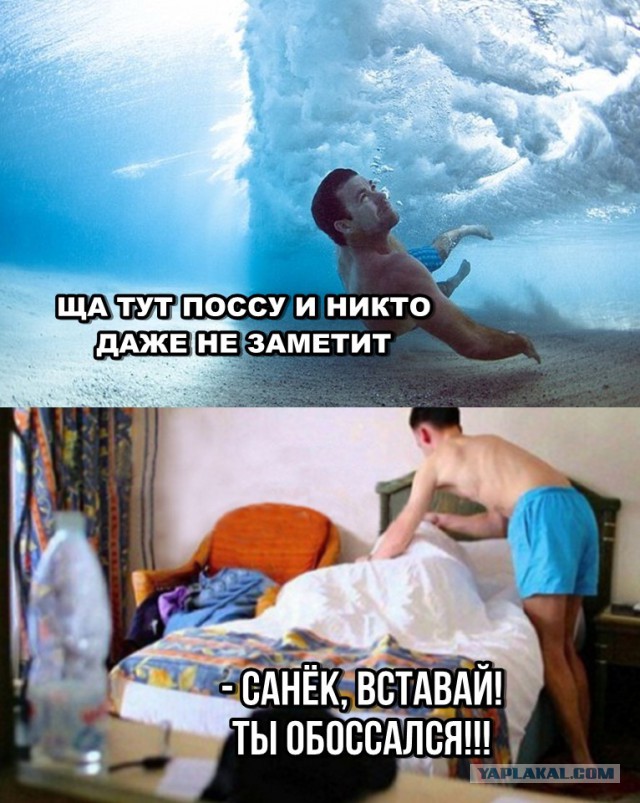 Проснись Дурак Ты Серишь