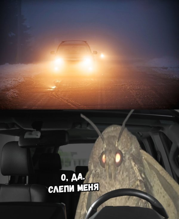 Подборочка трэша на понедельник