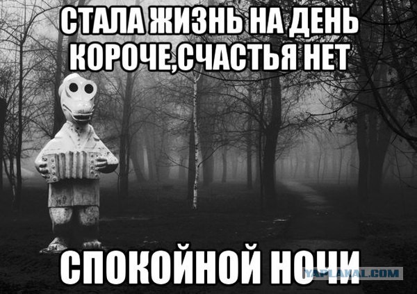 Уровень счастья в России достиг исторического максимума