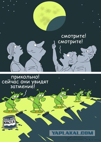 Шедевры Сергея Елкина