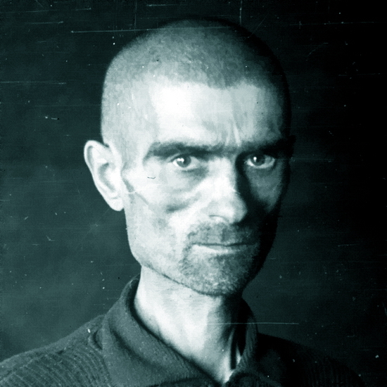 Страх и ненависть острова Медвежий