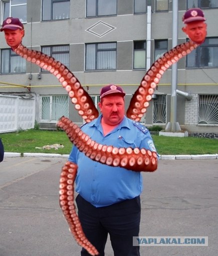 Фотожаба:На связи