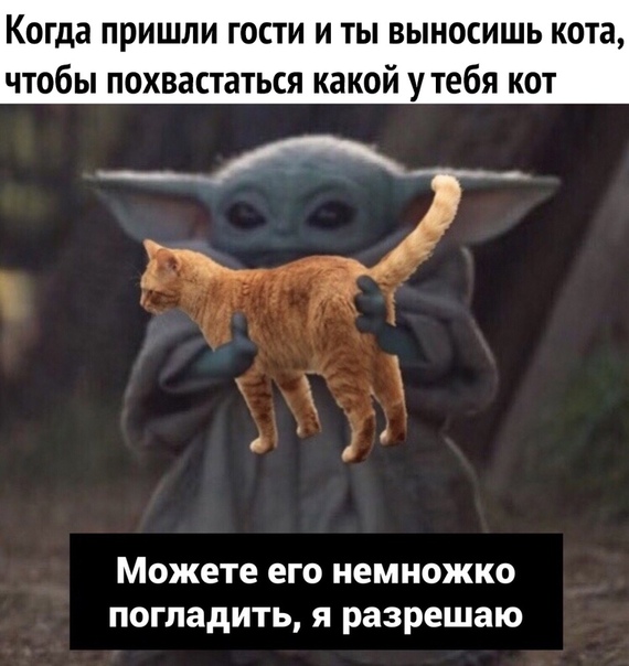 Картинки всякие 21.11.20