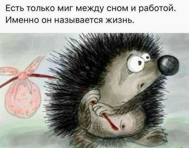 Картинки и мемы для настроения 008