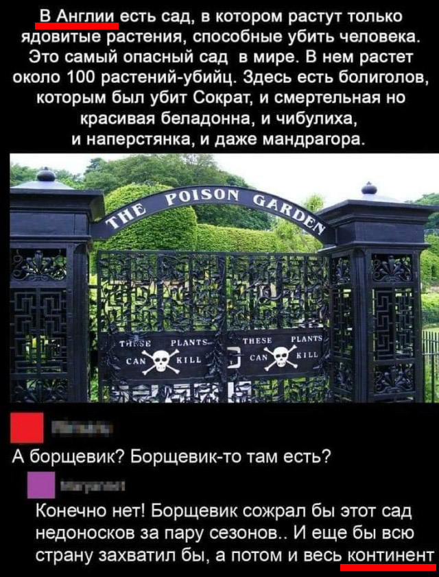 Фотки и картинки: юморные и красивые, забавные и милые 12.03.21