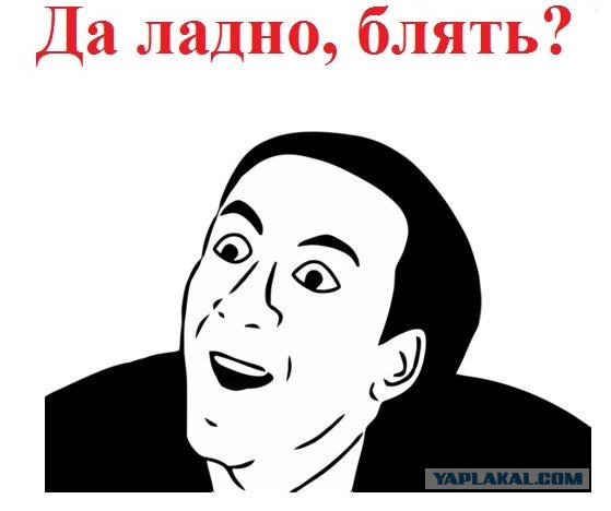 Славный, блин, ктоооооо?