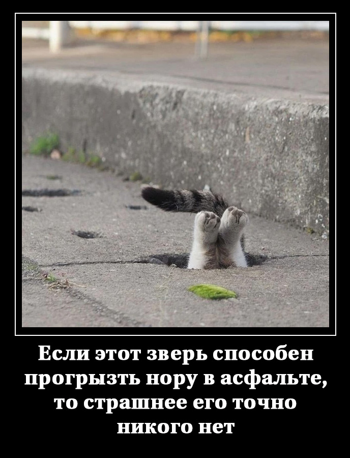 16785555.jpg