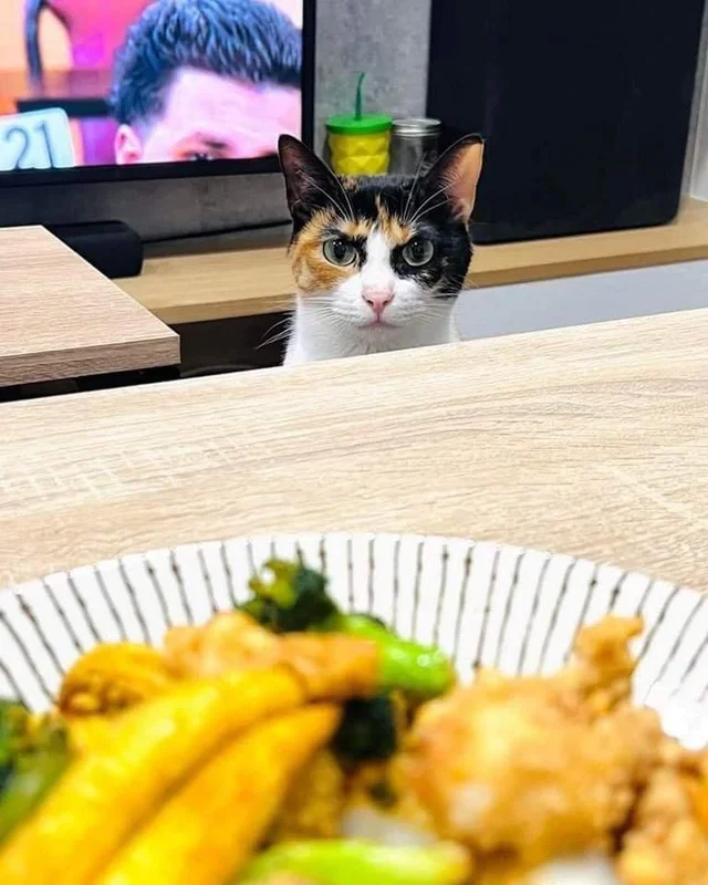 Жрешь?