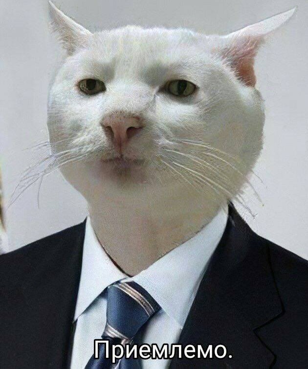 Само совершенство