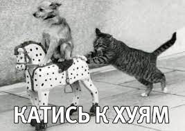 Когда баба подкатывает