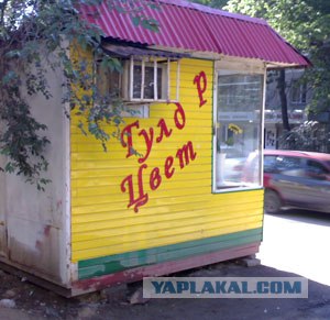 Приколы из Казахстана