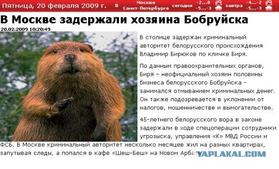 Хозяин Бобруйска