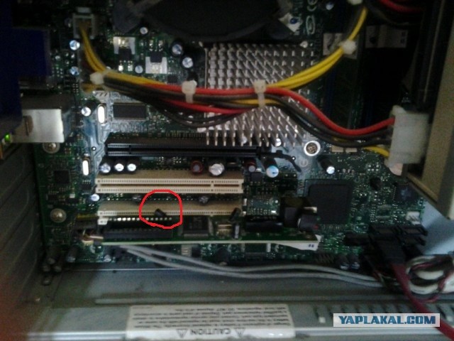 Как мы с девушкой удаленно сетевку вставляли