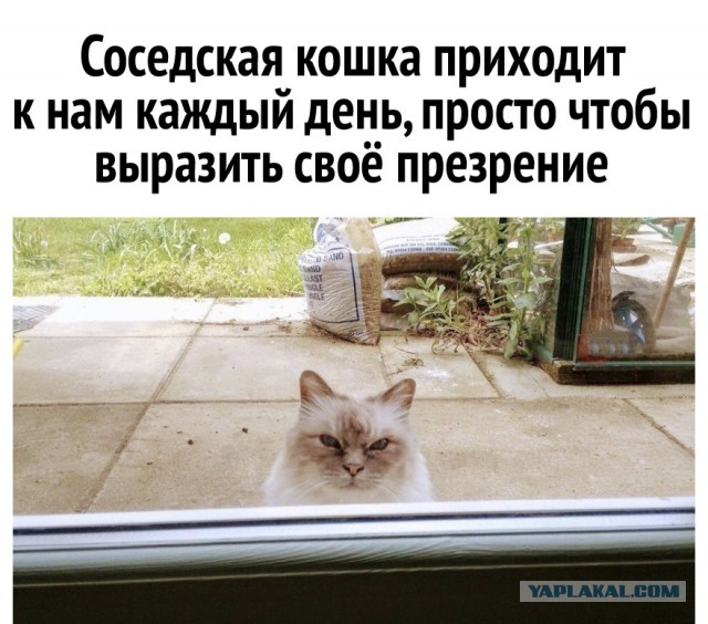 Необычные картинки 05.11.23