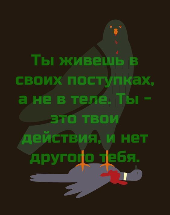 Прикольные и просто красивые картинки 12.01.2024