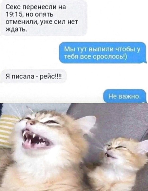 Весёлый полтишок 18.01.24