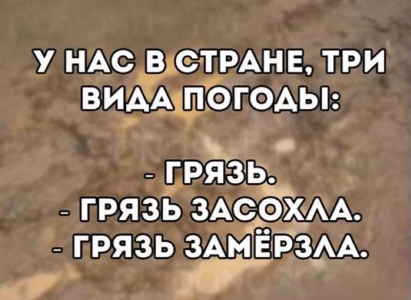 20168555.jpg
