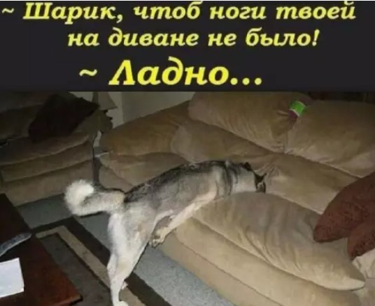 Картиночки, баянчики 23 марта