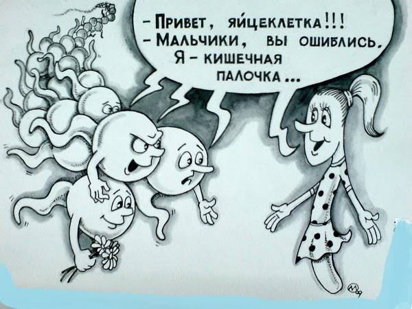 есть ли бог