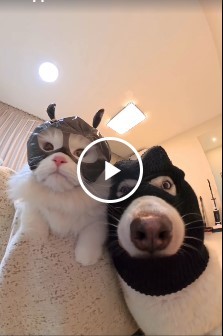 *БАЯН*Секретная банда