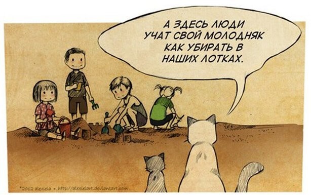 Картинки на среду