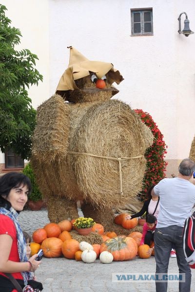 Испания 10 дней дикарем