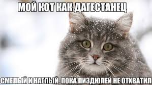 Тонкота.