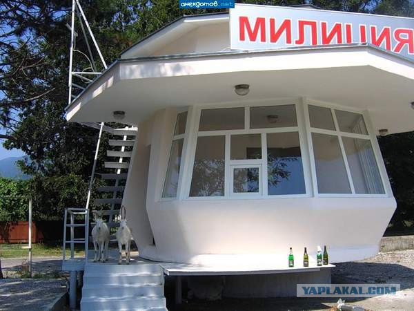 Весёлые картинки. Разбавим будни