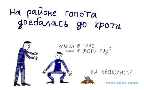 Свежие картинки из сети