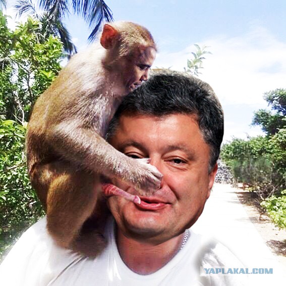 Смешные картинки
