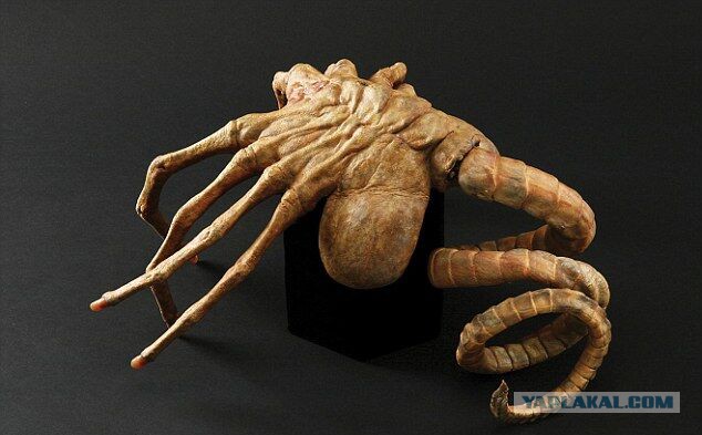 МУЖСКАЯ КОНФЕТА