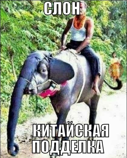 Забавные картинки из интернетов