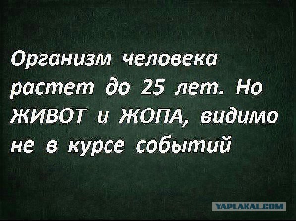 Про пышные женские формы