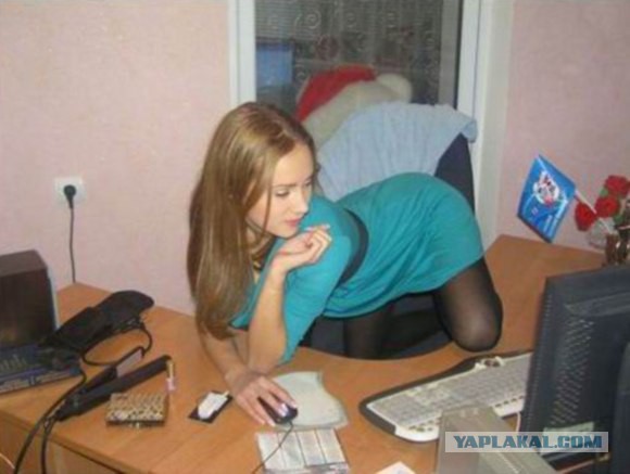 Ужасы и приколы из соцсетей