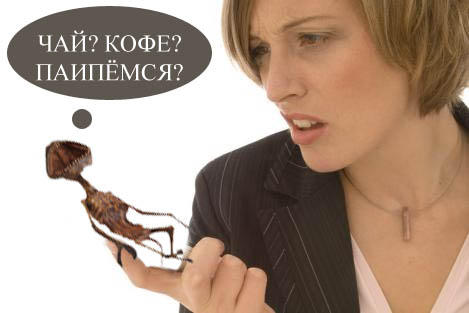 Отправка анонимных Sms сообщений!