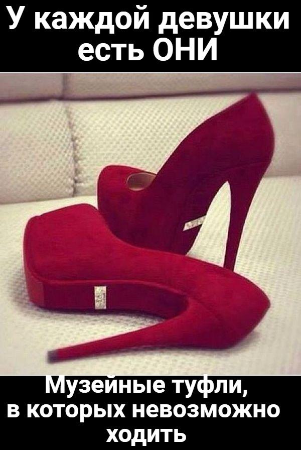 Картинки и приколы из сети