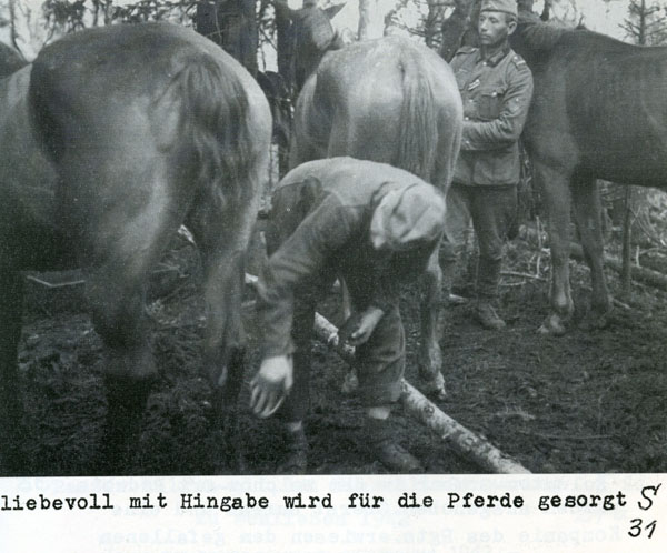 Волховский фронт. 1942. Взгляд с той стороны.