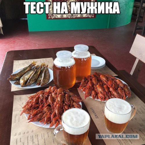 Подборка интересных и веселых картинок
