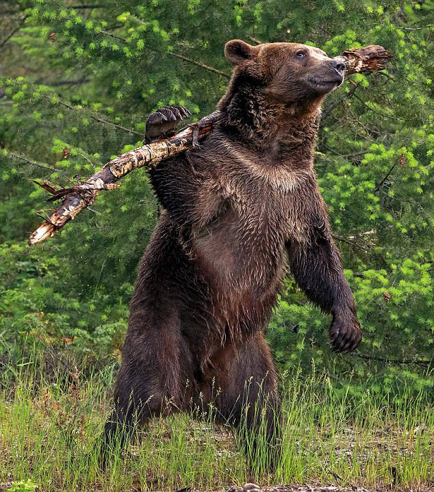 Вообще не палево