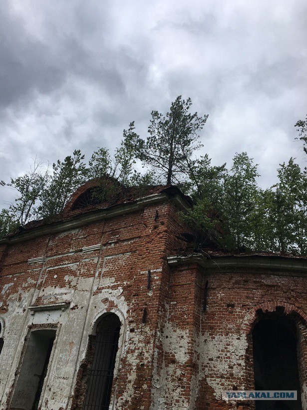 Заброшенная церковь в Мещерских лесах