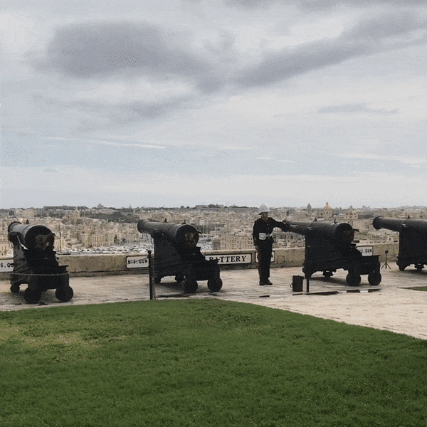 Мальта защищает свои берега от птиц с 1802 года