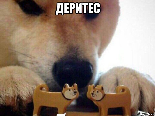 Весёлый полтишок 21.03