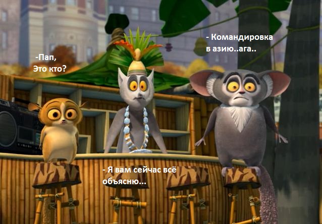 Суматранская кошка: Огромные глаза и воровство сладкой картошки. «Инопланетный» вид котиков из глухих джунглей